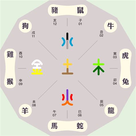 祐的五行|佑字的五行属性